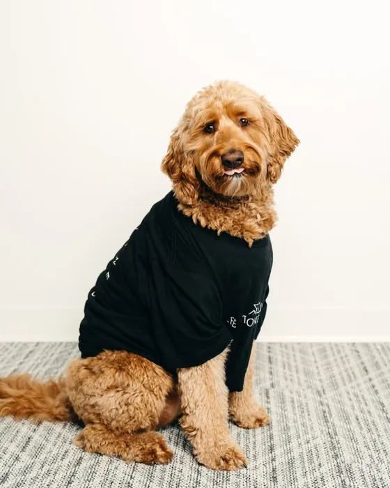 Sozo, Chief Morale Coordinator at Three Stone